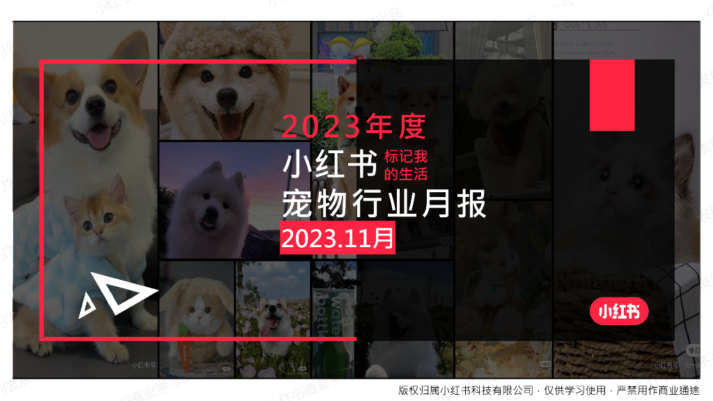 小红书：2023年11月小红书宠物行业月报