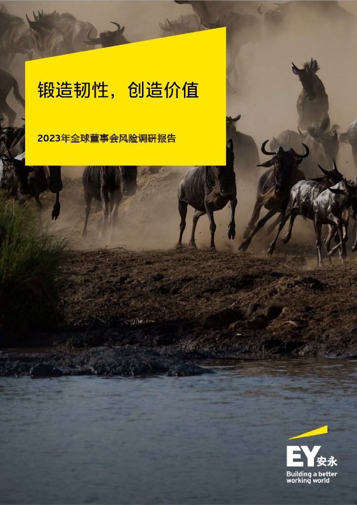 安永：2023全球董事会风险调研报告-锻造韧性，创造价值
