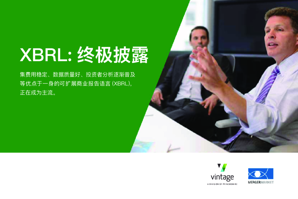 Vintage：XBRL：终极披露