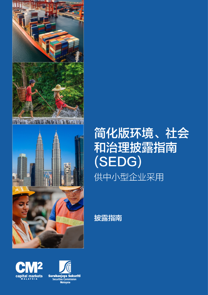 CMM：简化版环境、社会和治理披露指南（SEDG）-供中小型企业采用