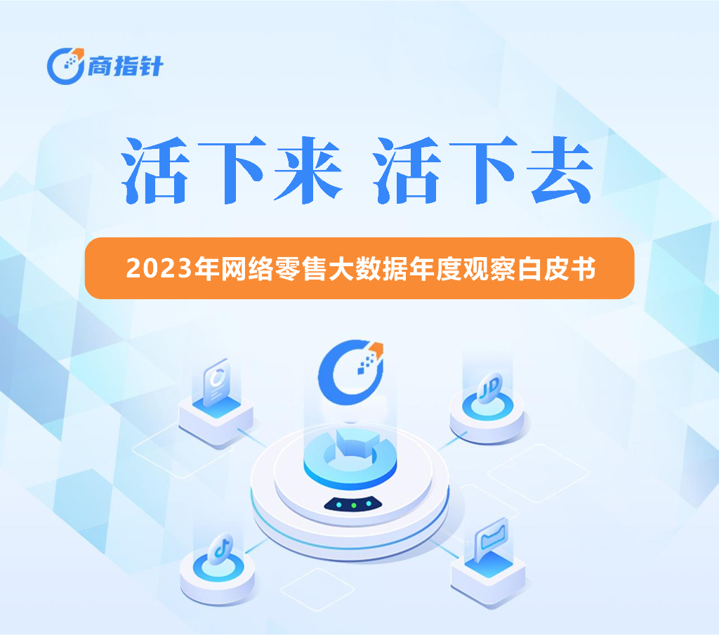 欧特欧咨询：2023年网络零售大数据年度观察白皮书海报