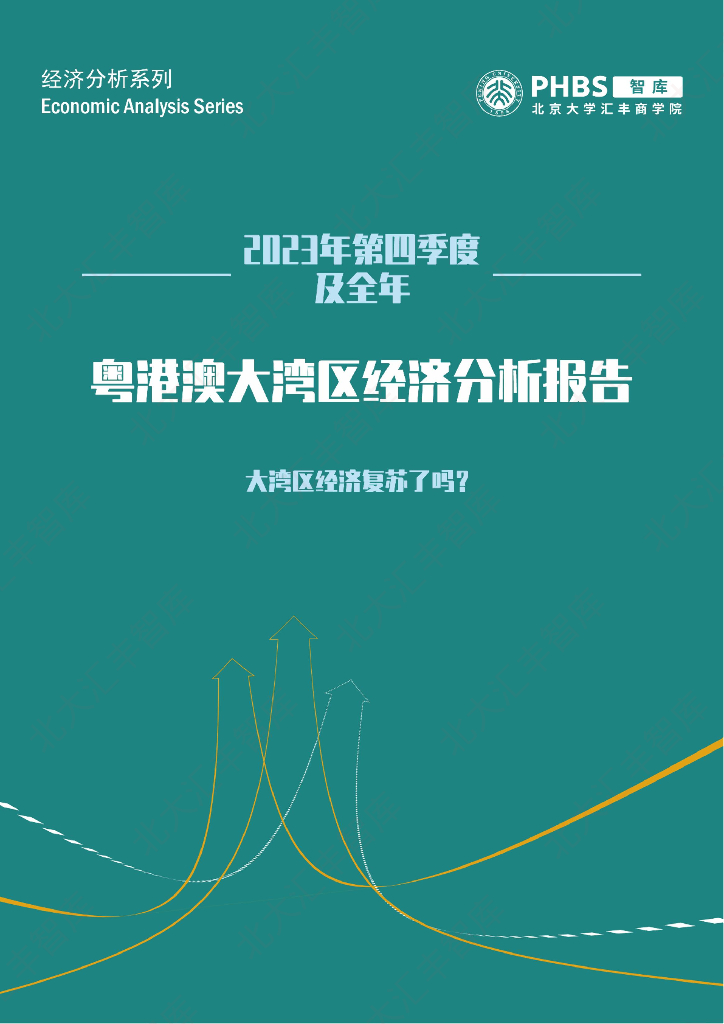 北大汇丰智库：2023年第四季度及全年粤港澳大湾区经济分析报告