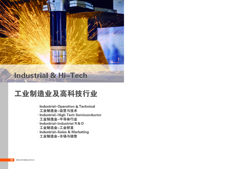 康耐仕：2019就业市场洞察-工业制造业及高科技行业（中英版）