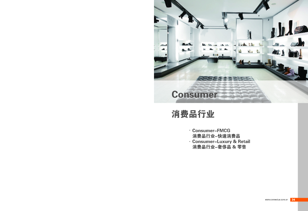 康耐仕：2019就业市场洞察-消费者行业（中英版）