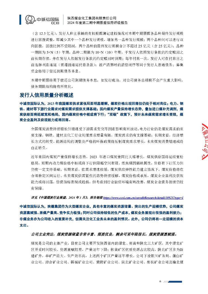 中诚信：陕西煤业化工集团有限责任公司2024年度第二期中期票据信用评级报告_第6页