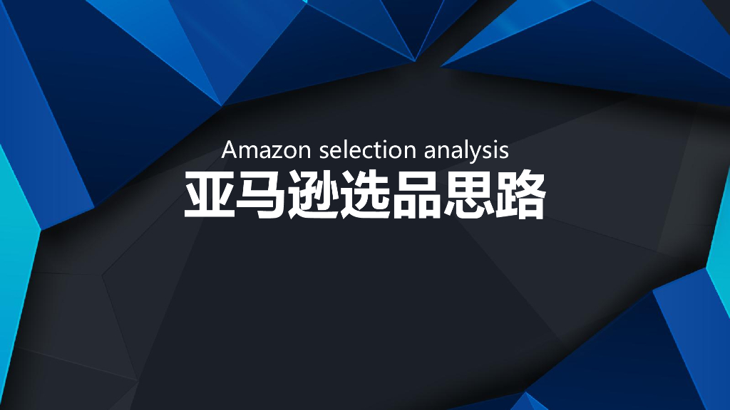 雷友汇：亚马逊选品思路报告