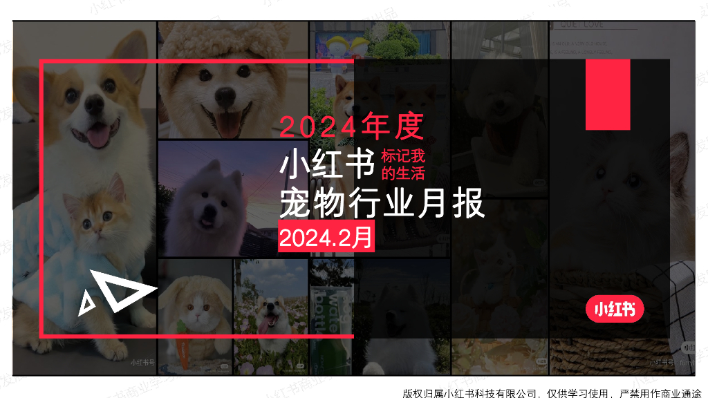 小红书：宠物行业月报（2024年2月）