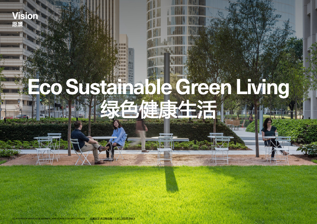 景观峡谷+水晶体验商办项目景观方案2022_第8页