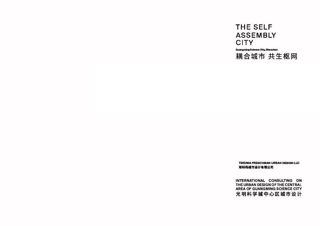 稠合城市+共生枢网中心区城市设计国际咨询