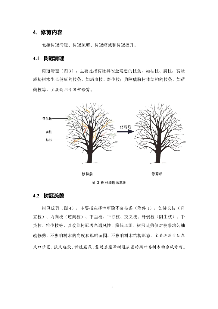 广州市树木修剪技术指引_第10页