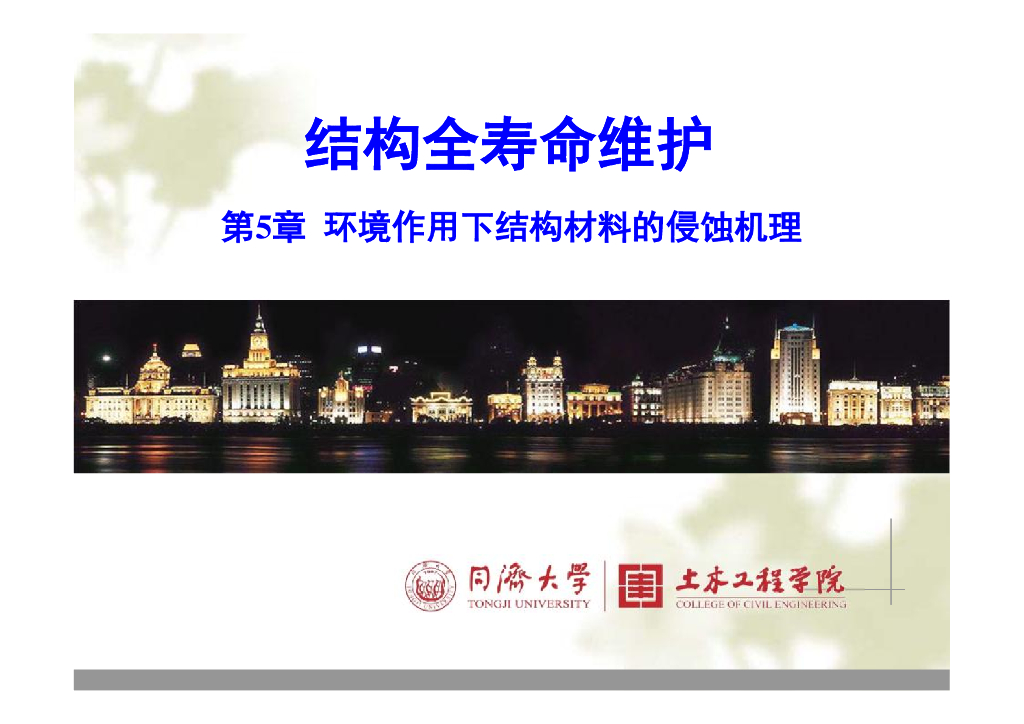 环境作用下结构材料的侵蚀机理（66P）