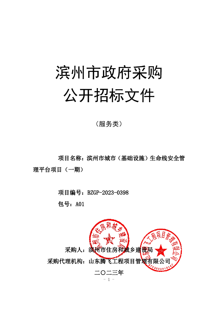 城市生命线-滨州市城市（基础设施）生命线安全管理平台项目（一期）招标文件
