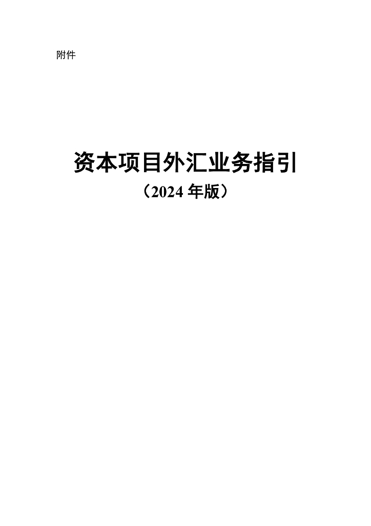 国家外汇管理局：资本项目外汇业务指引（2024年版）