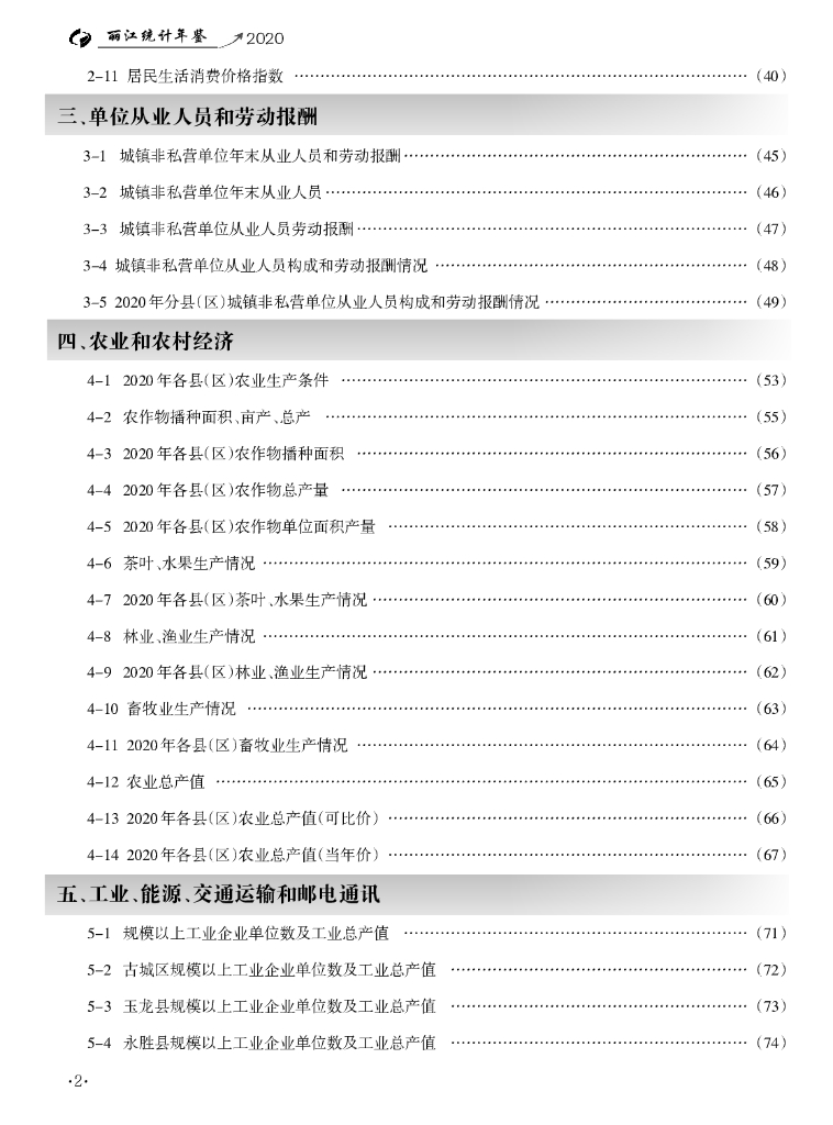 丽江统计年鉴2020_第6页