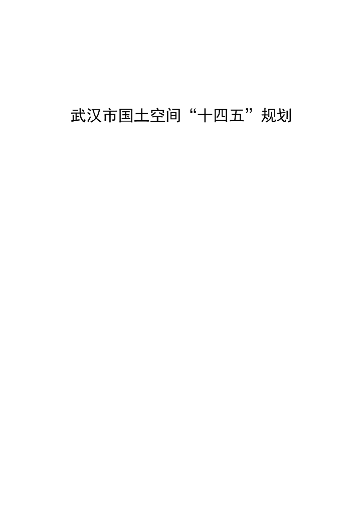 武汉市国土空间“十四五”规划