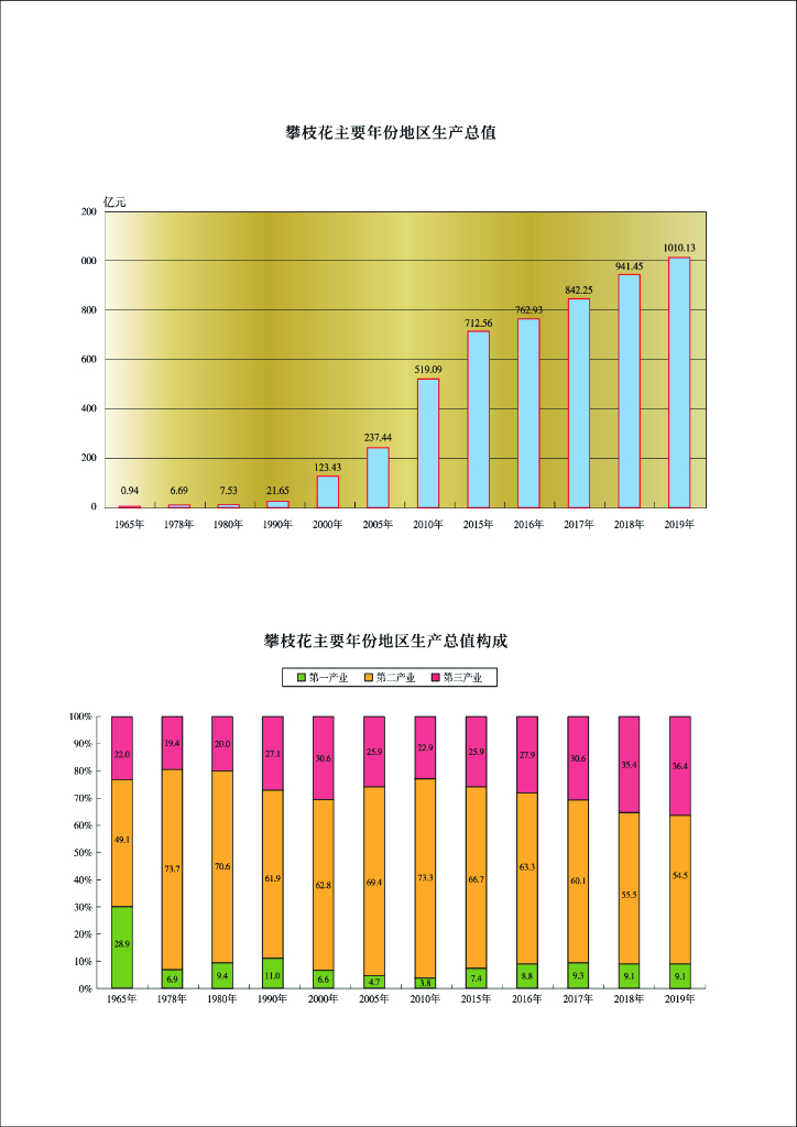 攀枝花统计年鉴2020_第10页