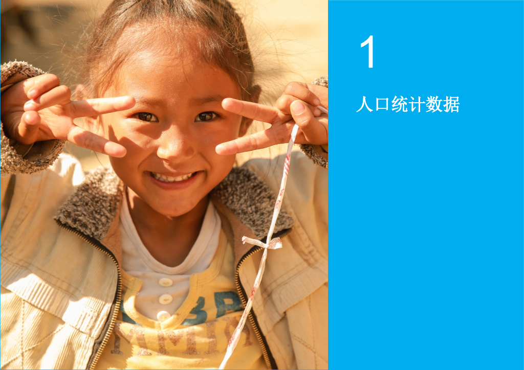 人口统计2018