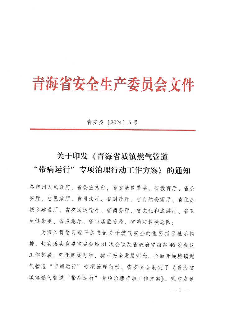 青海省城镇燃气管道“带病运行”专项整治行动工作方案