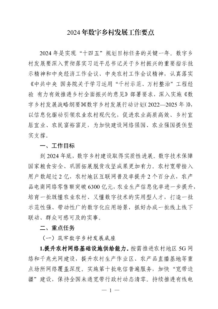 2024年数字乡村发展工作要点