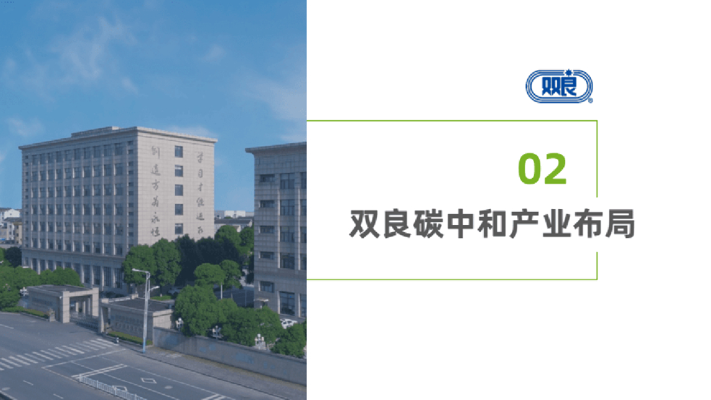 双良碳中和解决方案_第9页