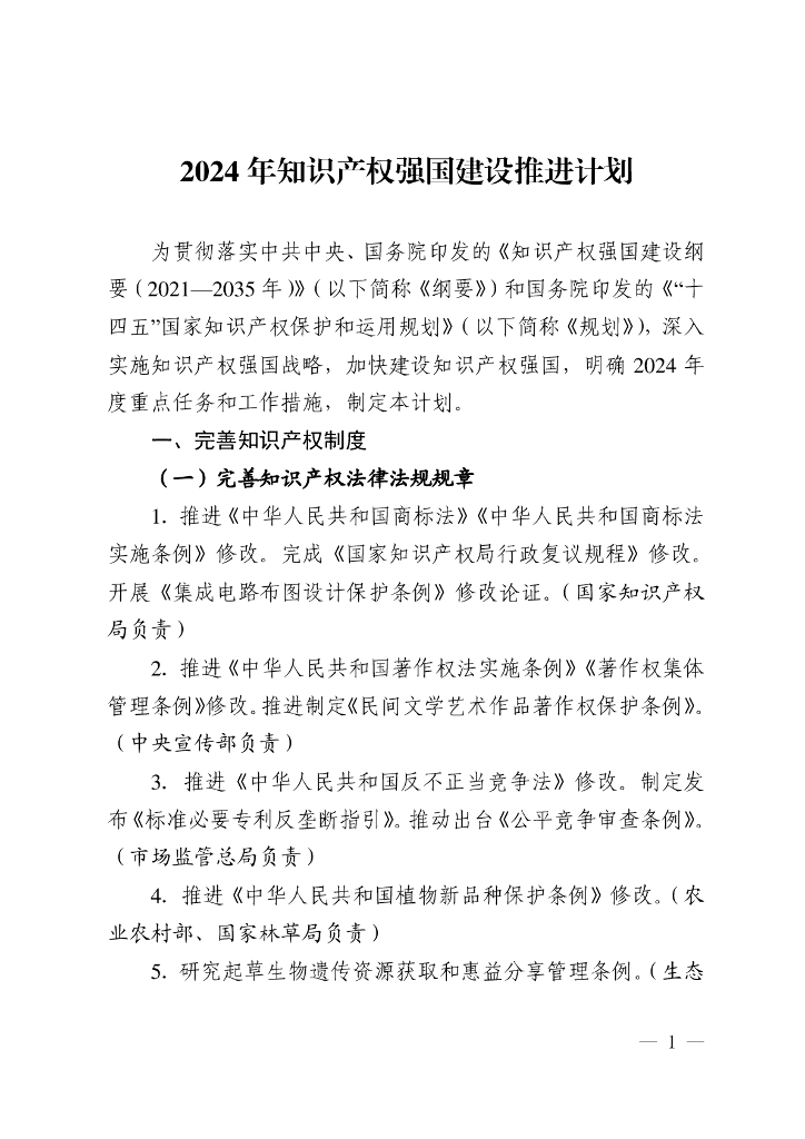 2024年知识产权强国建设推进计划