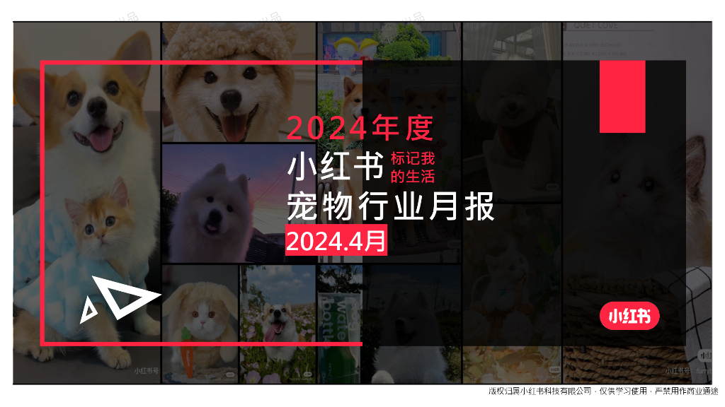 小红书：宠物行业月报（2024年4月）海报