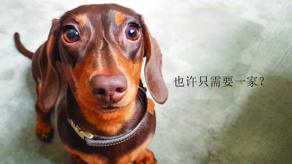 CPX上午主会场2：真正的 (T.R.U.E.)  人工智能平台_第10页