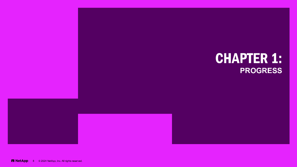 NetAPP：2024年云复杂性报告：人工智能鸿沟（英文版）_第8页