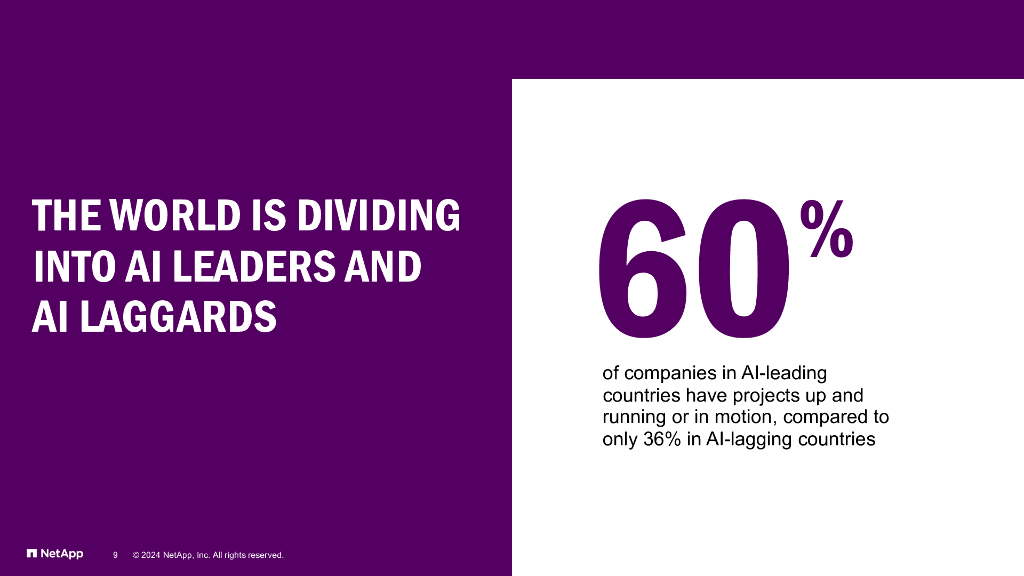 NetAPP：2024年云复杂性报告：人工智能鸿沟（英文版）_第9页