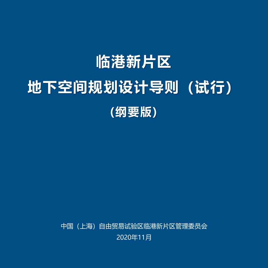 临港新片区地下空间规划设计导则（试行）纲要版