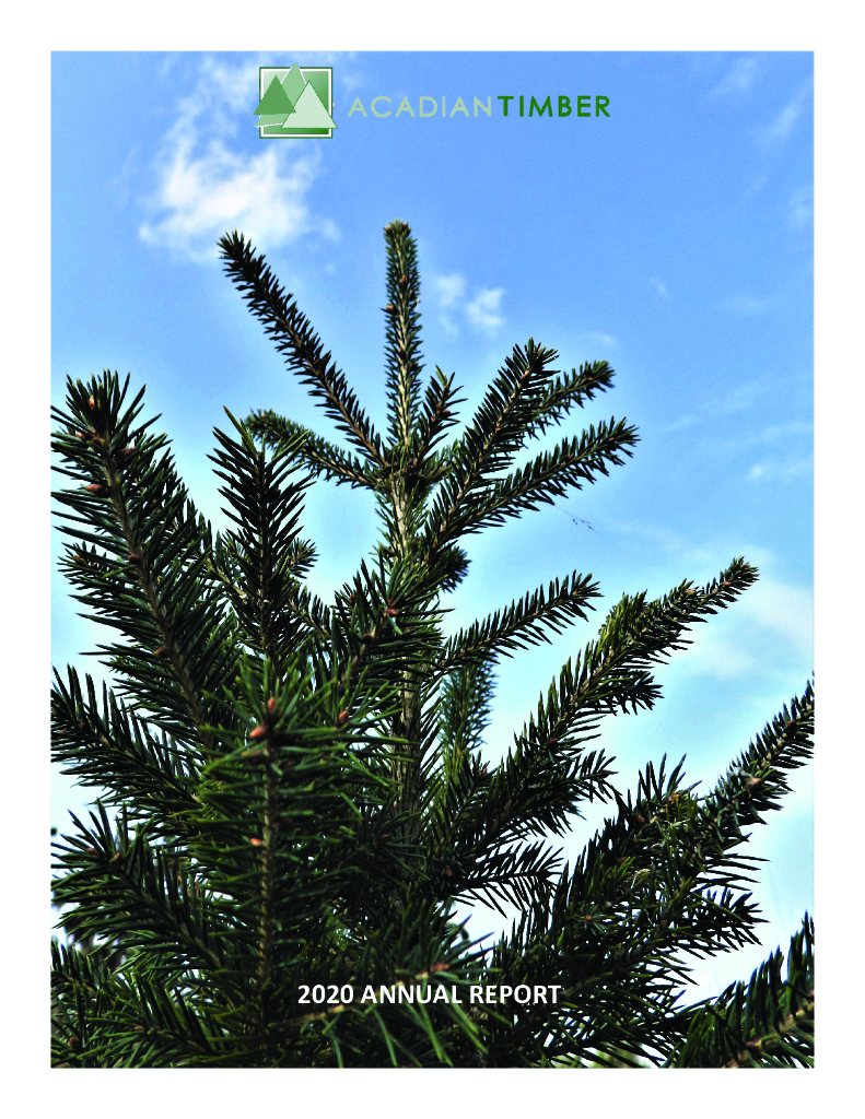 Acadian Timber Corp.（ADN）2020财年年度报告（英文版）