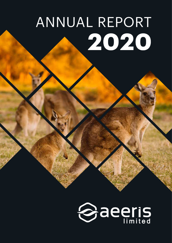 Aeeris（AER）2020财年年度报告（英文版）