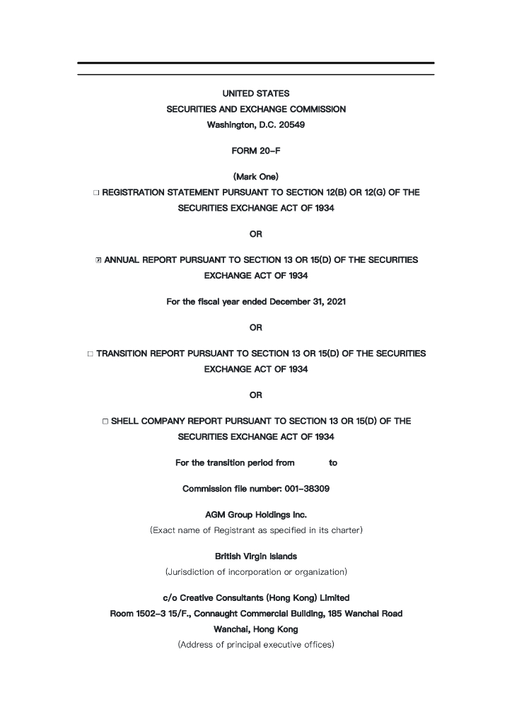 AGM Group Holdings Inc.（AGMH）2021财年年度报告（英文版）