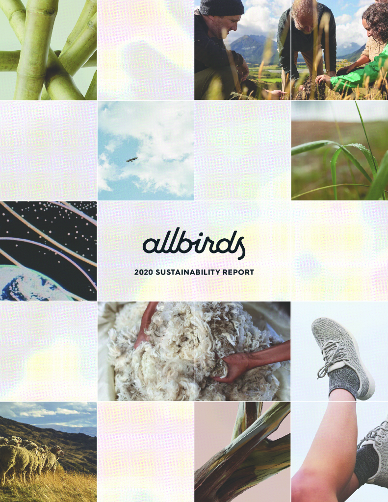 Allbirds, Inc.（BIRD）2020年可持续发展报告（英文版）