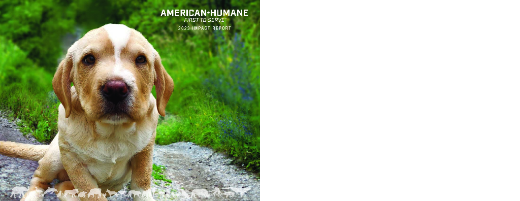 American Humane 2023财年年度报告（英文版）