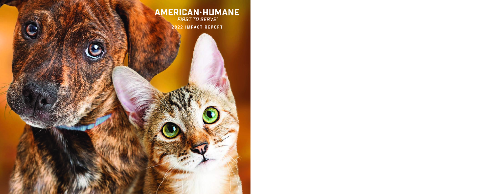 American Humane 2022年影响力报告（英文版）