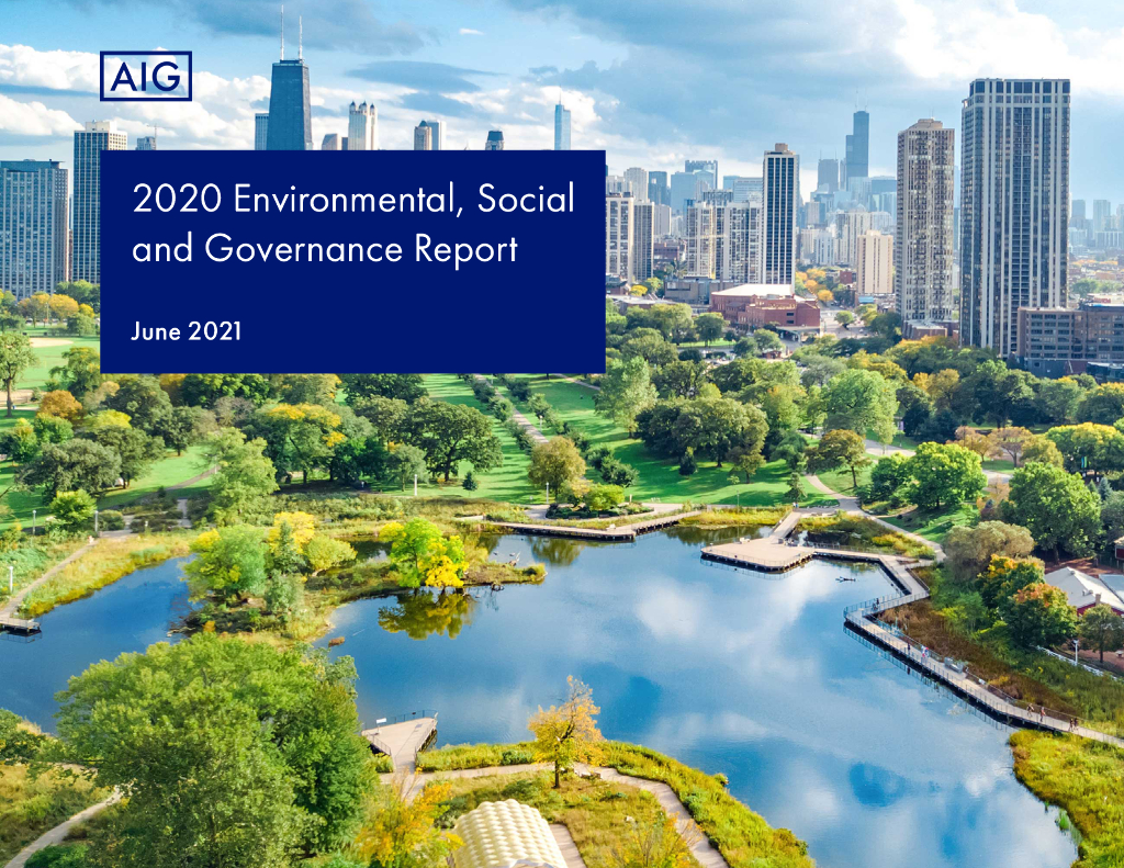 American International Group, Inc.（AIG）2020年ESG报告（英文版）