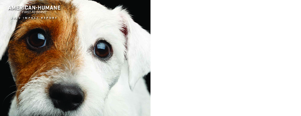 American Humane 2020财年年度报告（英文版）
