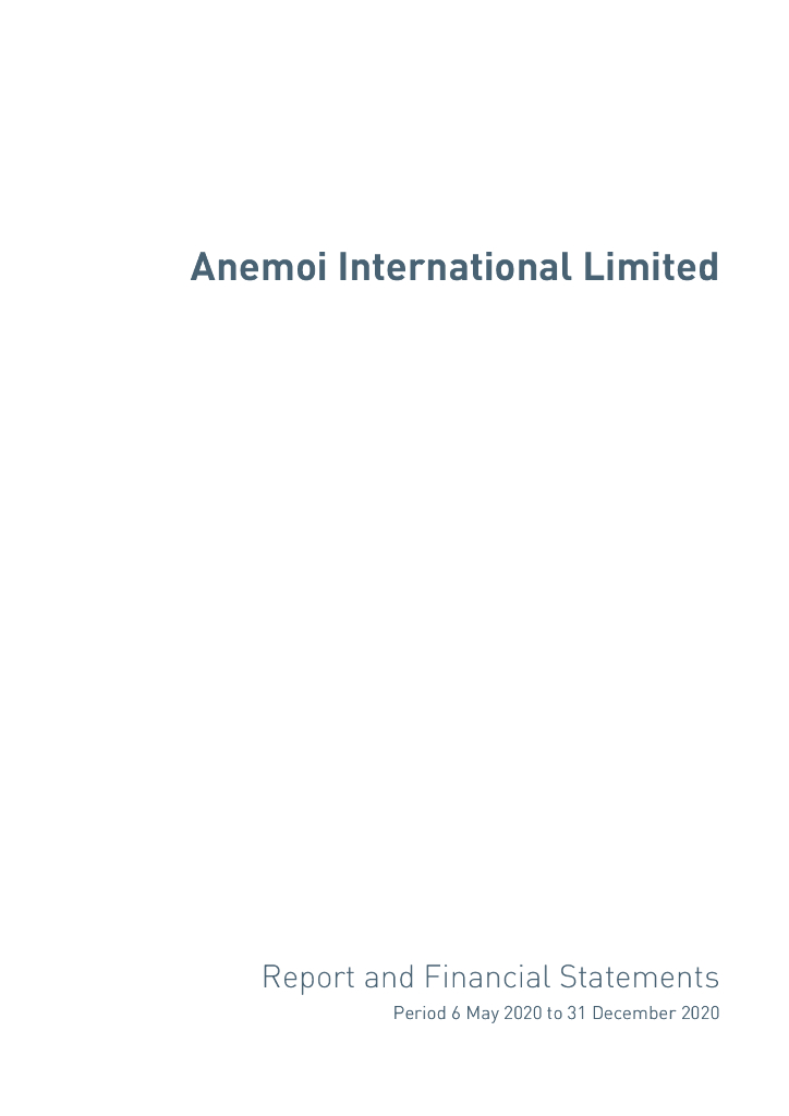 Anemoi International Ltd（AMOI）2020财年年度报告（英文版）