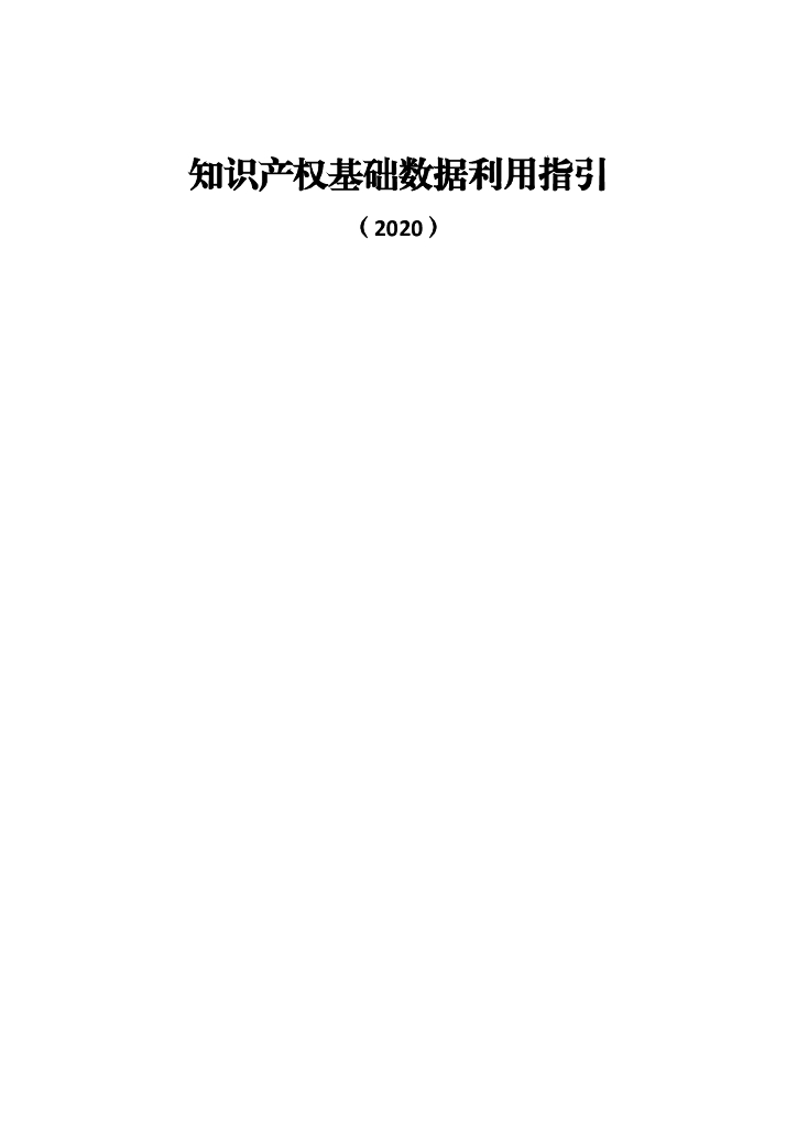 知识产权基础数据利用指引（2020）