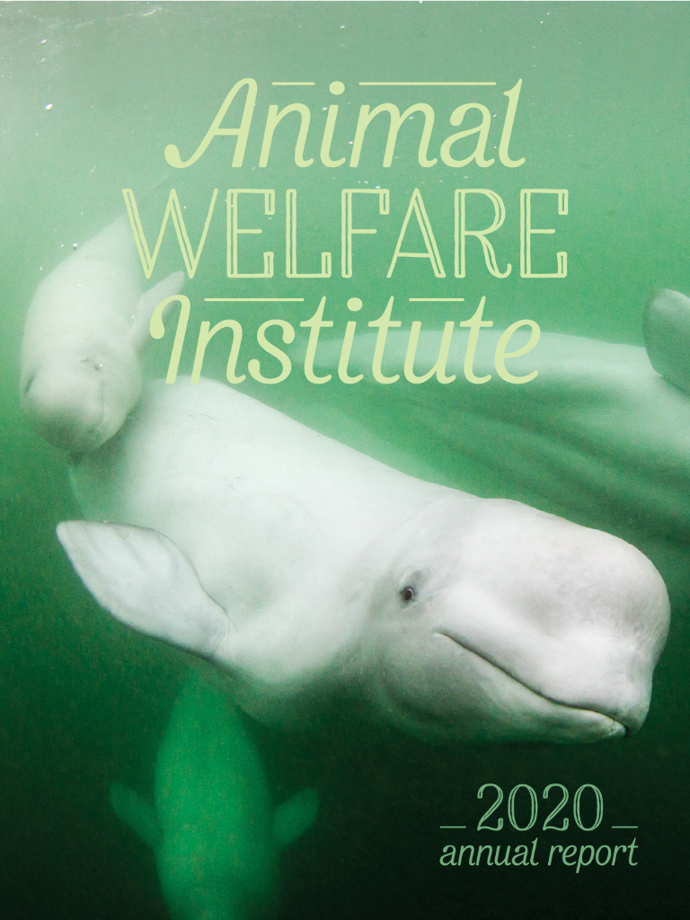 Animal Welfare Institute 2020财年年度报告（英文版）