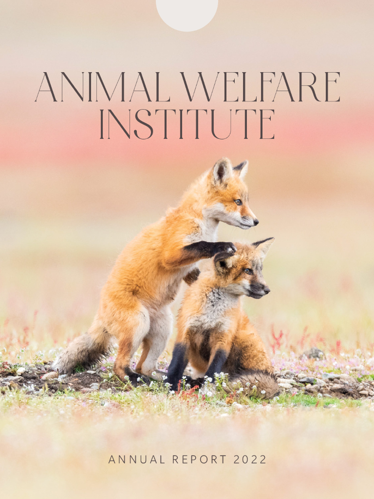 Animal Welfare Institute 2022财年年度报告（英文版）