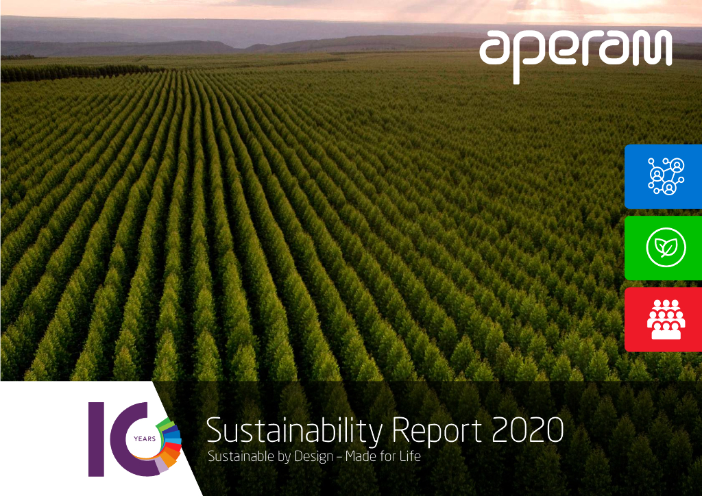 Aperam 2020年可持续发展报告（英文版）