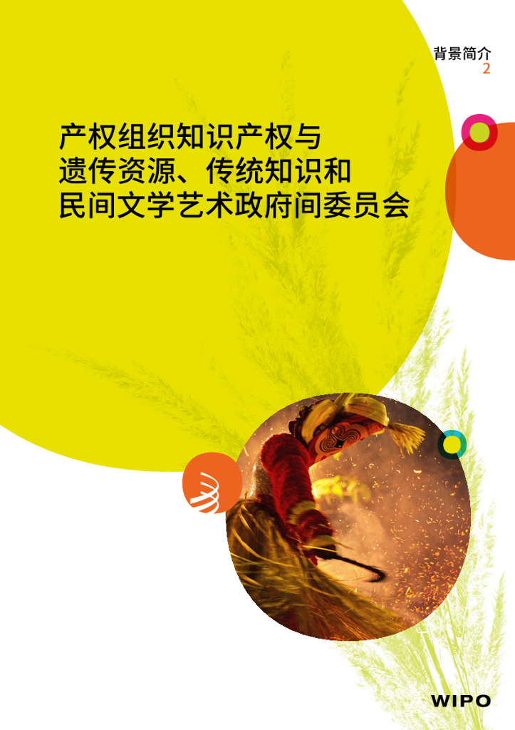 世界知识产权组织：产权组织知识产权与遗传资源、传统知识和民间文学艺术政府间委员会