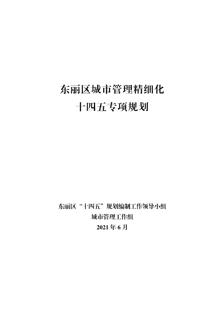 东丽区城市管理精细化十四五专项规划