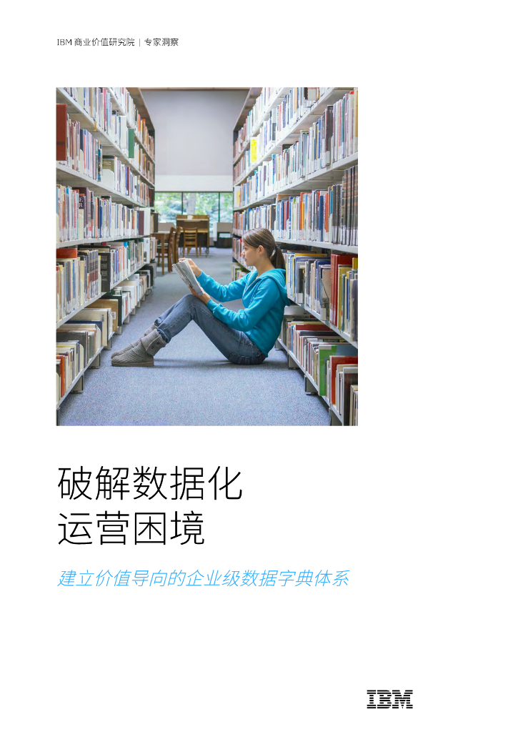 IBM商业价值研究院：2024破解数据化运营困境报告：建立价值导向的企业级数据字典体系 海报
