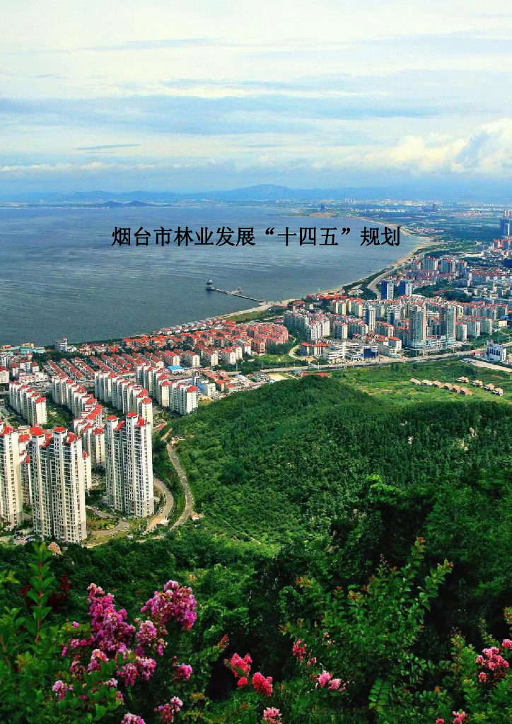 烟台市林业发展“十四五”规划