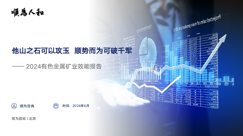 顺为咨询：2024有色金属矿业效能报告