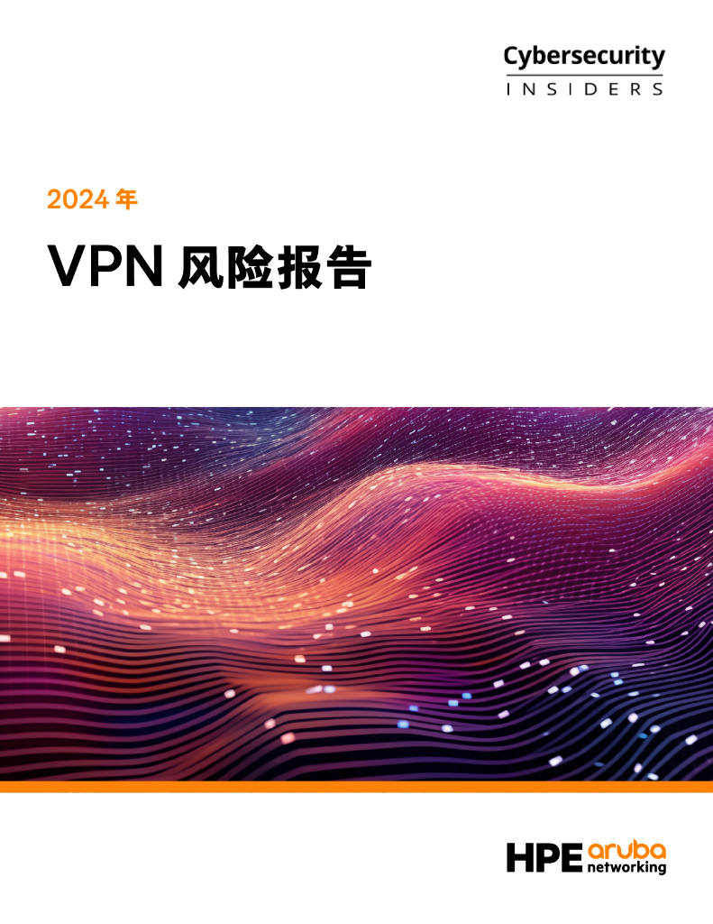 Cybersecurity：2024年VPN风险报告