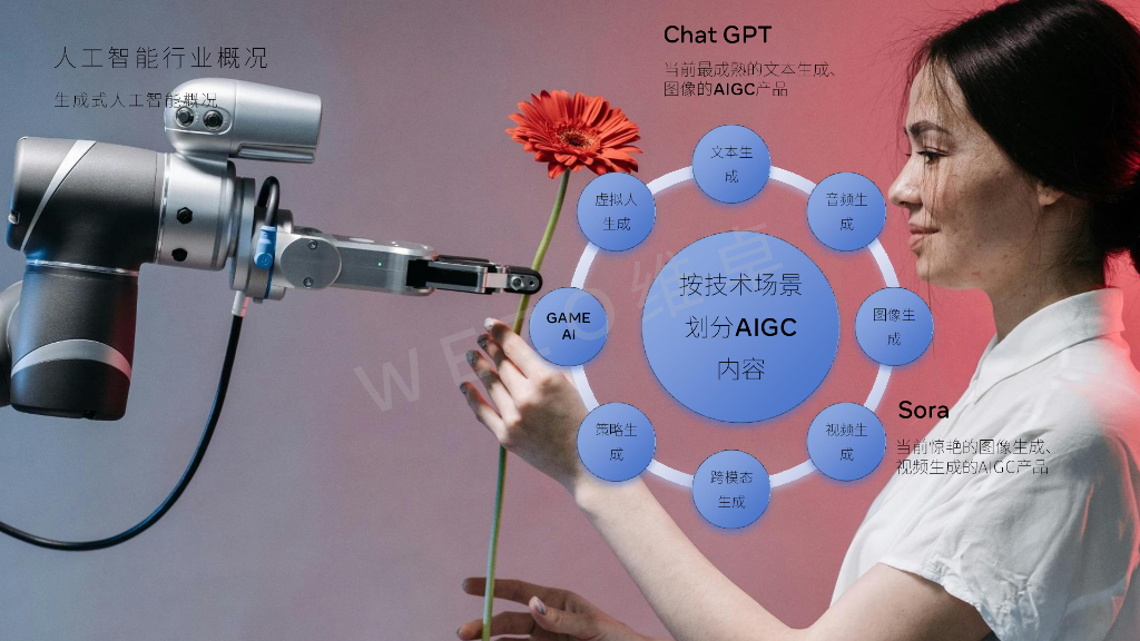 维卓：2024人工智能对旅游业影响报告_第7页